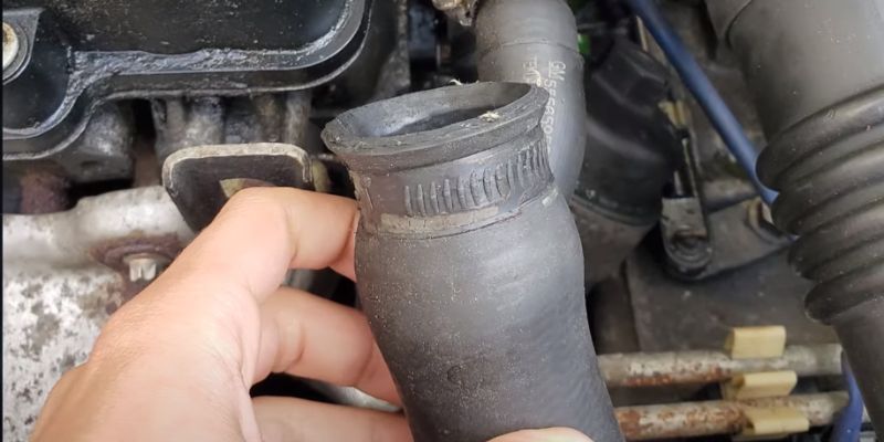 bottom radiator hose